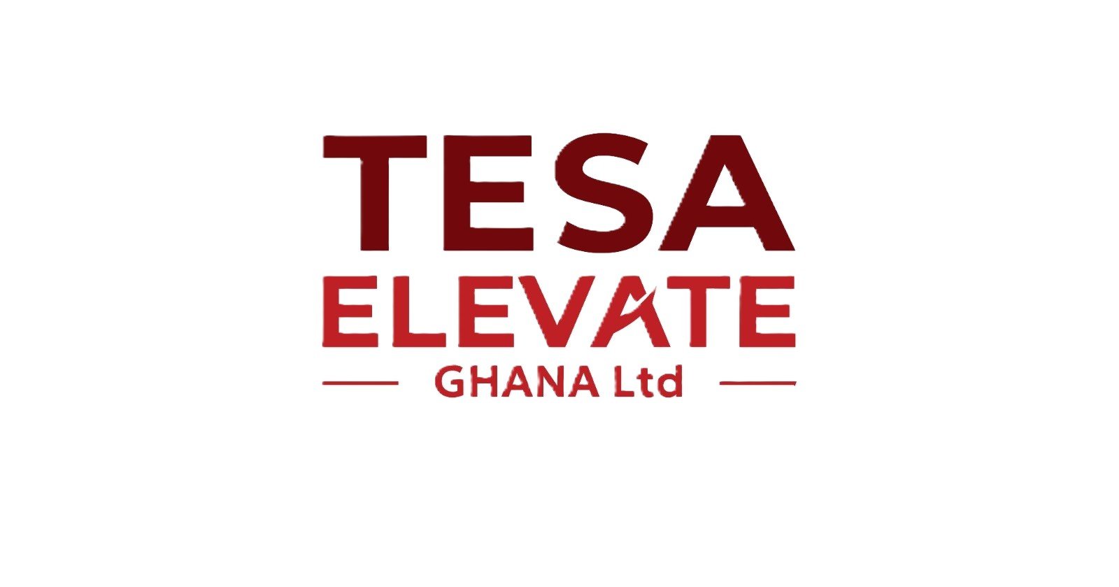 Tesa Elevate logo